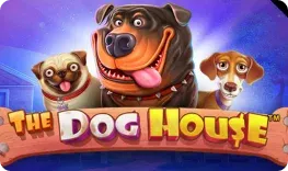 Ardente Casino offre il gioco online The Dog House